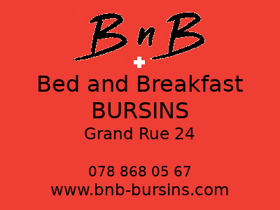 bnb-bursins-logo-1.png